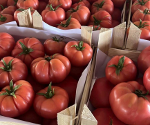 Pink Tomatoes